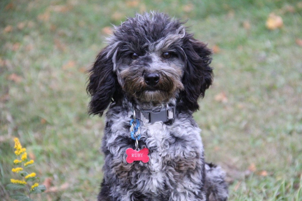 Bonnie